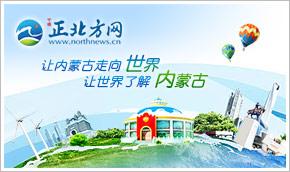 烏海市發放航空旅游補貼，助力旅行社與票務代理發展