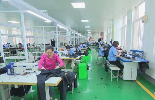 照金村社區(qū)服裝廠扎實做好穩(wěn)就業(yè)工作丨耀州故事之脫貧故事 193