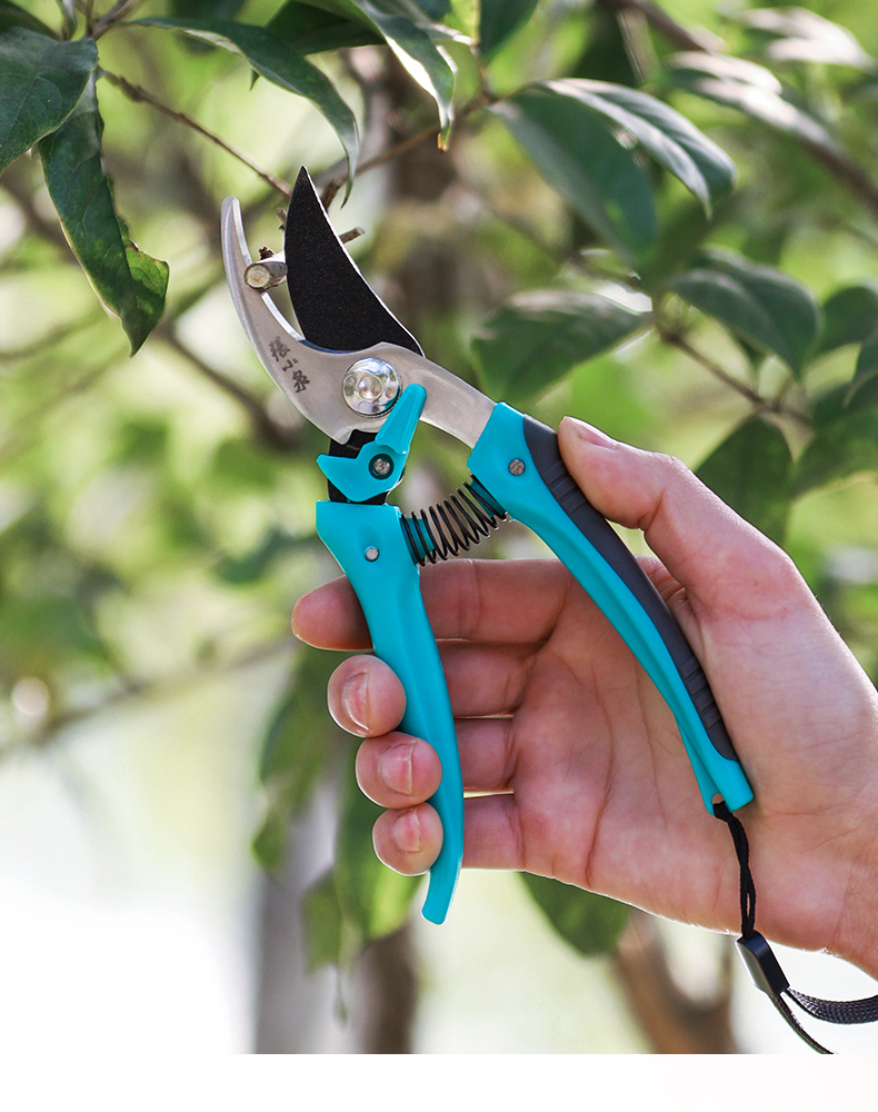 張小泉剪枝剪刀 園藝修剪的得力神器